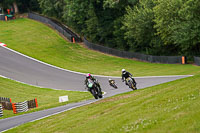 brands-hatch-photographs;brands-no-limits-trackday;cadwell-trackday-photographs;enduro-digital-images;event-digital-images;eventdigitalimages;no-limits-trackdays;peter-wileman-photography;racing-digital-images;trackday-digital-images;trackday-photos